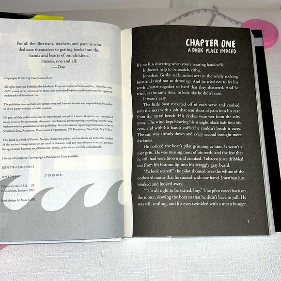 Scar Island Children’s Chapter Book 📖 Best Book of the Month - Picture 8 of 9